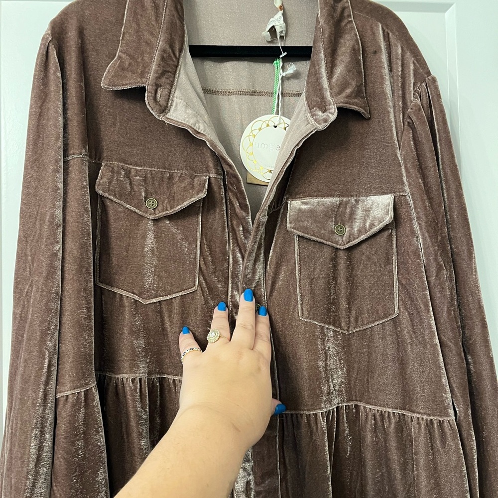 Velvet button up Umgee dress